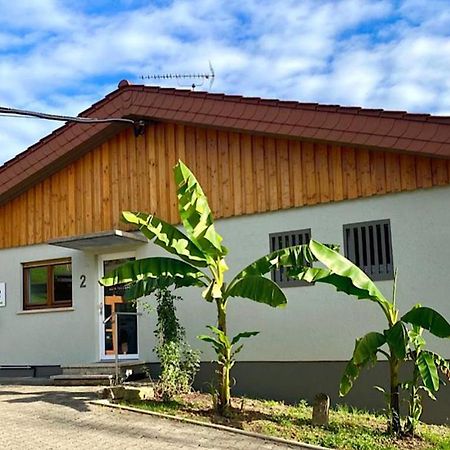 Pension Am Hohberghof Dielheim Eksteriør bilde