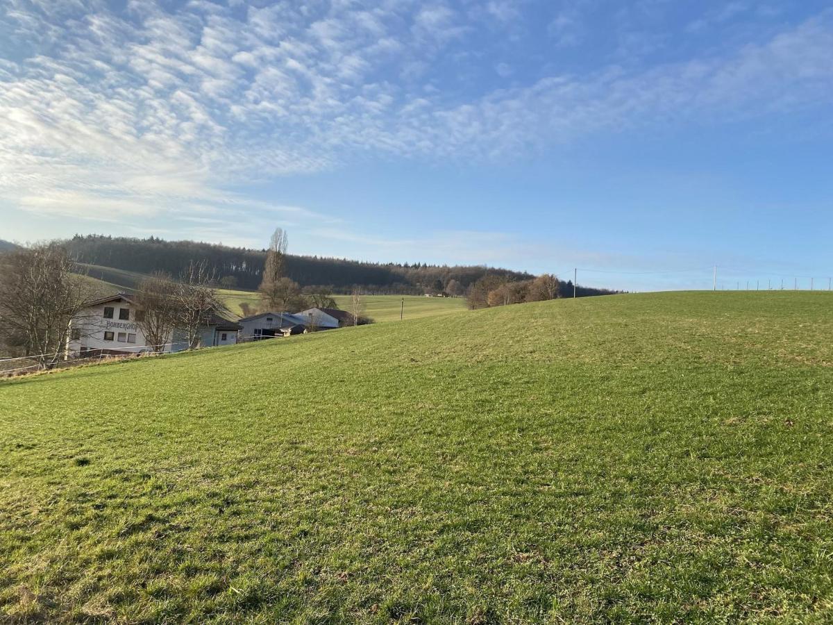 Pension Am Hohberghof Dielheim Eksteriør bilde